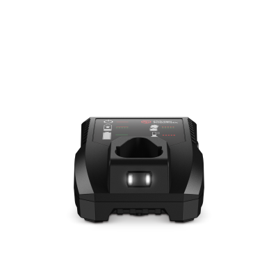 Caricabatterie CP12Ch product photo