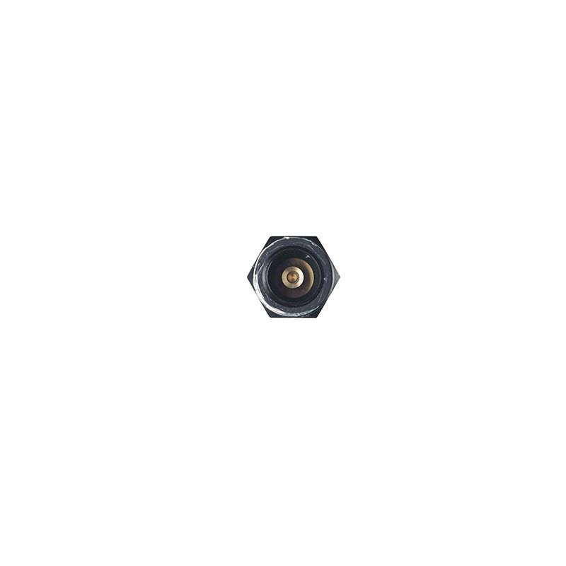 AIR FUSE LF 1'' NPT product photo